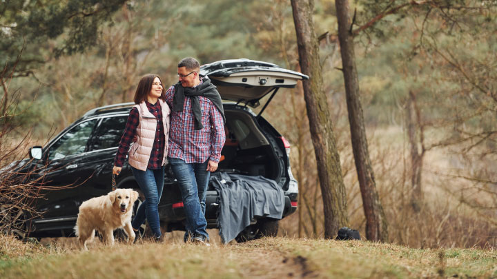 Couple Walking Dog Next to Car