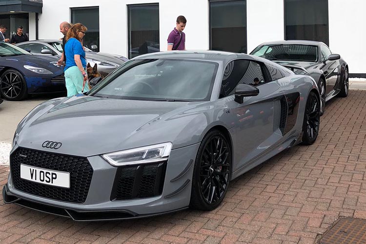 Nardi Audi R8