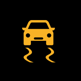 Electronic Stabilisation Programme Warning Light